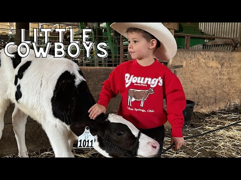 Little Cowboys Get to know Their NEW cows! KIDS ON FARM/CATTLE/TRACTOR STORE/TOYS/ANIMALS/LEARNING