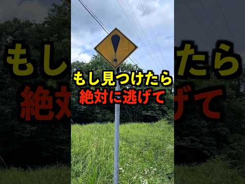 もし、この標識を見つけたら絶対すぐ逃げて #都市伝説 #ホラー #雑学 #ゆっくり解説