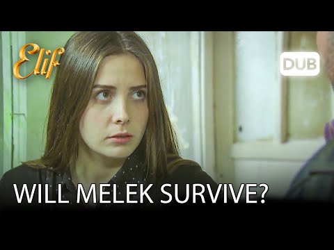 Will Melek survive? | Elif Episode 68 Urdu dubbing