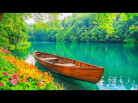 Beautiful Relaxing Music - Stop Overthinking, Stress Relief Music, Sleep Music, Calming Music #119