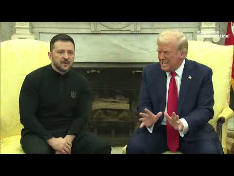 Trump vs. Zelenskyy: Shouting argument devolves meeting over Ukraine-Russia ceasefire