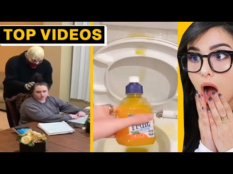 TikTok Pranks Gone Too Far – You Have to See This! | SSSniperWolf