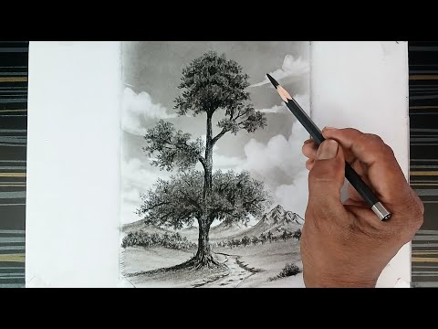 Pencil drawing of tree landscape by pencil with easy ways.