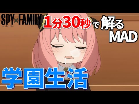 【SPY×FAMILY】ミックスナッツでアーニャの学園生活を把握する【MAD】