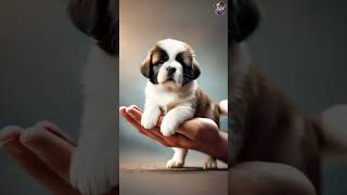 The Cutest Thing You’ll See Today! 😍🐶 | Adorable Puppy #cutepuppy #adorable #viral