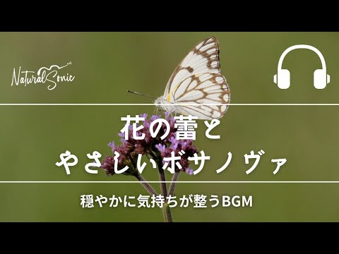 Natural Sonic 「花の蕾とやさしいボサノヴァ」 - 穏やかに気持ちが整うBGM -