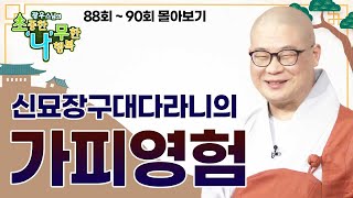 신묘장구대다라니의 가피영험 [광우스님 소나무 3편 몰아보기]