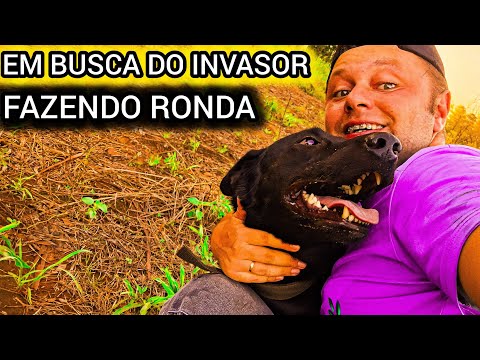 CACHORRO RESGATADO NO RS VIROU FAZENDEIRO !