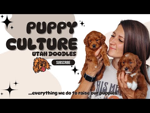 Puppy Culture