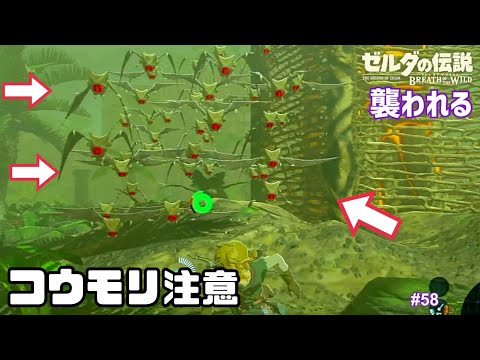 ゼルダの伝説 ブレス オブ ザ ワイルド 実況プレイ！ #58