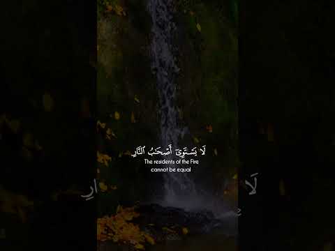 Surah Al Hashr #shorts #viralvideo #quran #nature