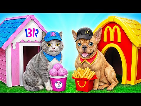 We Built a House For Pets | Funny Moments by Multi DO Smile