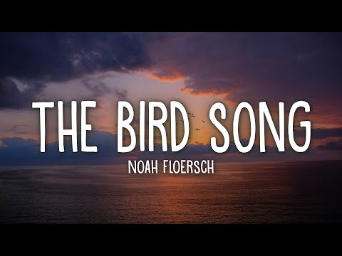 Noah Floersch - The Bird Song (Lyrics)