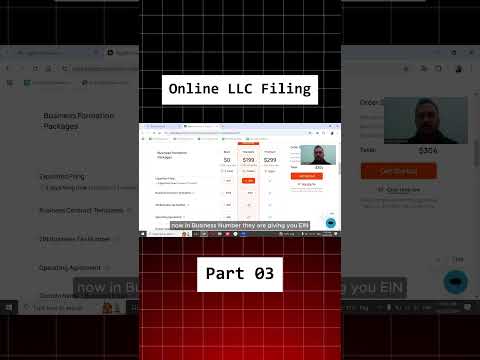 How to Form US LLC from Pakistan in 2025 | Online LLC Filing | All Best Methods Explained | Part 03