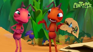 Ant Farm | Antiks 🐜 | Funny Cartoons for Kids