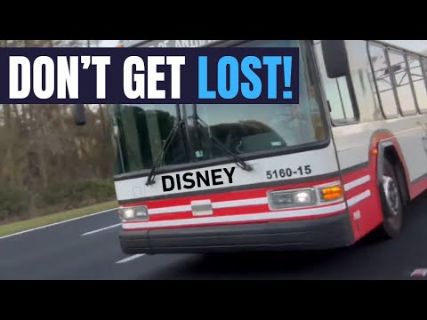 How to Use Disney Transportation | Your Complete Guide to Getting Around DISNEY WORLD