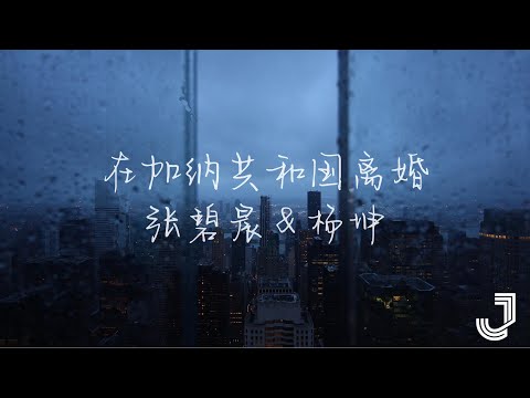 张碧晨 & 杨坤 - 在加纳共和国离婚 【动态歌词 Lyrics】