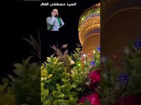 ابتهالات مولد النبي الأكرم (ص) وحفيده الإمام جعفر الصادق (ع) - القارئ السيد مصطفى الغالبي