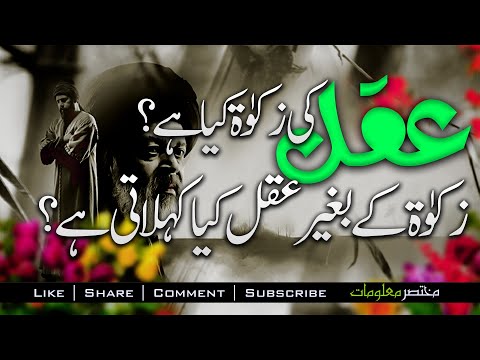 Aqal Ki Zakat Kia Ha | Aqat Or Zahanat | YUNUS EMRE - RAH-E-ISHQ | TAPDUK EMRE | Mukhtasar Maloomat