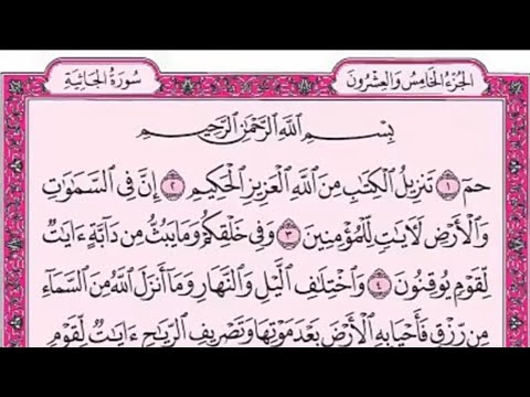 سورة الجاثية كامله hd