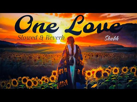 one love ( slowed + reverb ) || one love shubh || shubh || punjabi song || Juni Music