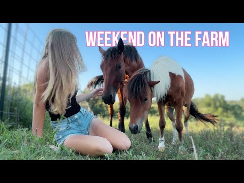 Weekend On a Small Farm