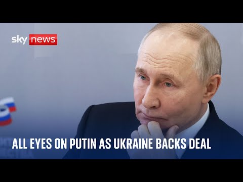 Putin under pressure as Zelenskyy backs ceasefire plan | Ukraine War