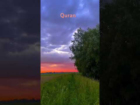 Surah room | with urdu translation |#alquran#viral short