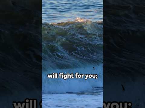 🕊️The Lord Will Fight for You: Exodus 14:14 #bibleverse #scripture #faith #love #god #hope