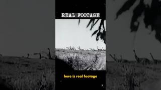 The story of the Great Emu War in Australia 🇦🇺 #history #story #vintage #australia