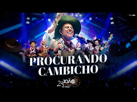 Procurando Cambicho - João Luiz Corrêa & Grupo Campeirismo ( DVD 25 anos de Carreira) 4k 2024