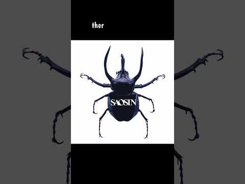 SAOSIN - YOU'RE NOT ALONE #saosin #yourenotalone