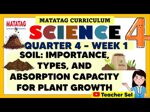 SCIENCE 4 QUARTER 4 WEEK 1 MATATAG - SOIL-IMPORTANCE, TYPES, & ABSORPTION CAPACITY FOR PLANT GROWTH