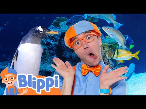 Can Blippi Find All the Sea Creatures? 🌊🐠 Ocean Bingo Adventure! | Educational Videos for Kids