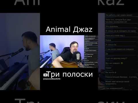 Animal ДжаZ  - Три полоски