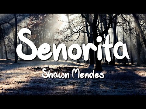 Senorita - Shawn Mendes (Lyrics) || David Kushner , Ava Max... (MixLyrics)