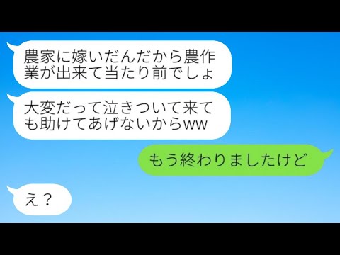 IT企業で働く私を見下し、家業の農業を無理やり押し付ける姑→勝ち誇った意地悪なババアに私の秘密を教えた時の反応が...w