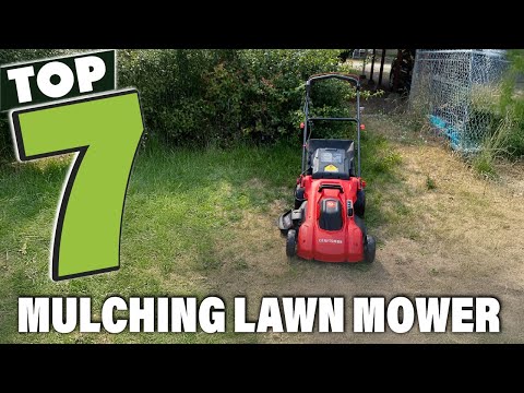 Top 7 Mulching Lawn Mowers You Need in 2025