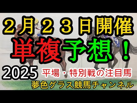 【単複平場予想】2025年2月23日JRA平場特別戦！京都メイン大和ステークスなど妙味ある馬を狙っていくコーナー！平場・特別戦を楽しむ12頭！