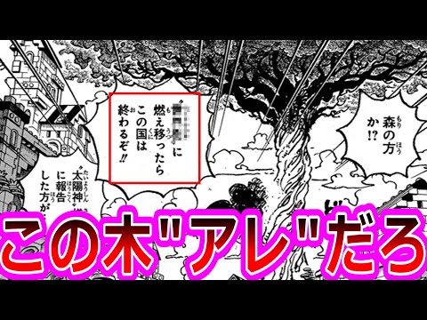 【ワンピース】最新1127話ちょいみせ 木にまつわる重要ワードと伏線回収に気づいてしまった読者の反応集【ゆっくりまとめ】