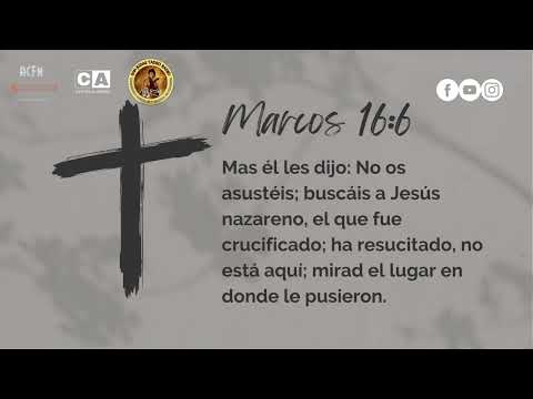 Marcos 16:6