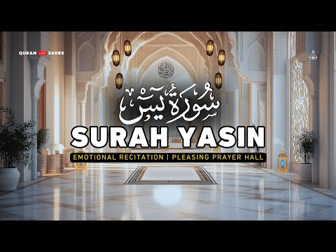 Emotional Surah Yaseen (سورة يس) For a moment of Peace & Calm | Quran Live 24Hrs