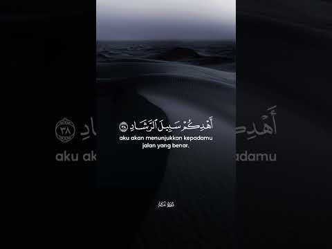 ارح سمعك بالقرآن#ارح_سمعك_بالقران