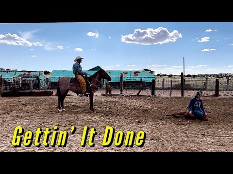 MONSTER & MARES | FULL DAY OF BRANDING #foals #quarterhorses  #cattleranch