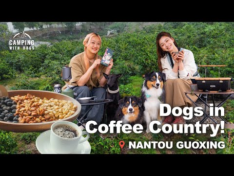 Taiwan’s Largest Camping Haven | Camping with Dogs