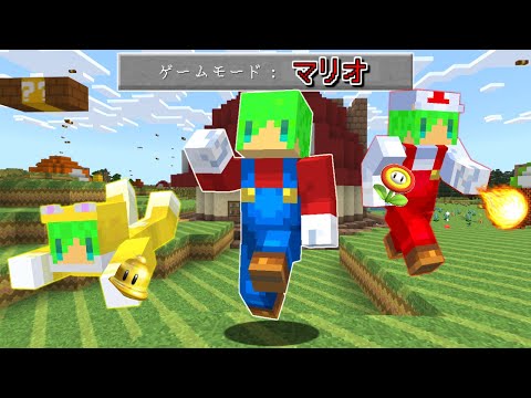 ゲームモード『マリオ』でサバイバルしたらとんでもない能力だらけだった...【マインクラフト】