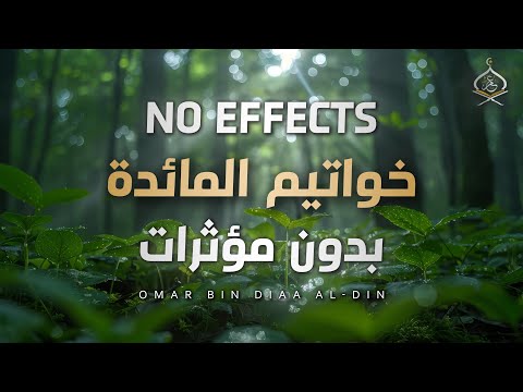 Calm Recitation Without Effects | By the Reciter Omar bin Diaa Al-Din