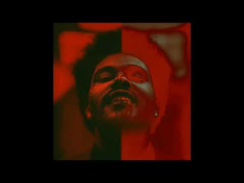 [FREE FOR PROFIT] The Weeknd x Metro Boomin Type Beat - "Snowchild"