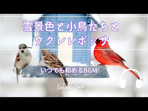 Natural Sonic「雪景色と小鳥とウクレレボッサ」　- いつでも和めるBGM -