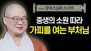 중생의 소원 따라 가피를 여는 부처님 [초심으로 돌아가는 광우스님의 소나무 185회]